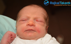 Hársasi Noel Ferenc, 3180 gr. Levél