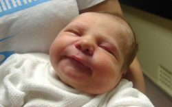 Mészáros Ábel-Győr