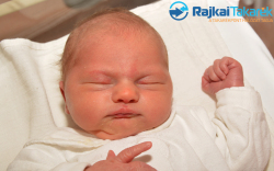 Németh Luca, 3540 gr. Móvár