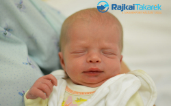 Bodai Benett, Dunasziget