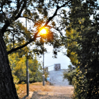 A Kühne Koncert Fúvószenekar külföldi vendégszereplése