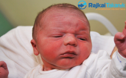 Andorka András, 3420 gr. Bősárkány