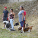 XI. Szigetköz ízei, Vármegye borai Fesztivál 3. nap 