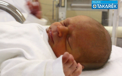 Szabó Kristóf, Mosonmagyaróvár