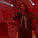 Szigetköz ízei, Vármegye borai Fesztivál (vasárnap) (Fotó: Horváth Attila)