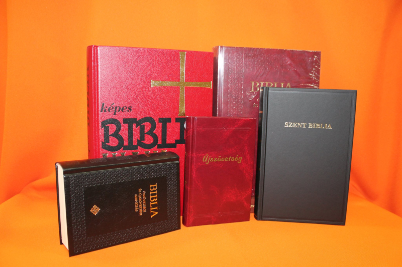 Gyertya-Sziget – Acer Kft.