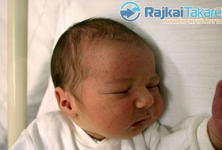 Bojér Dávid, Mosonmagyaróvár