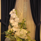 Házasság Hete megnyitó  (Fotó: Nagy Mária)