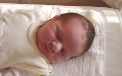 Sípos Kristóf-Jánossomorja