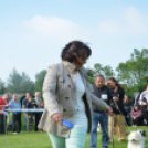 CAC kutyakiállítás (Fotó: Nagy Mária)