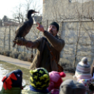 Madaras nap a Pillangó Óvoda és Mini Bölcsődében 