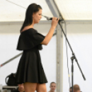 XI. Szigetköz ízei, Vármegye borai Fesztivál 3. nap