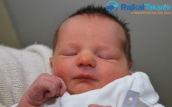 Németh Levente, 3270 gr. Szany