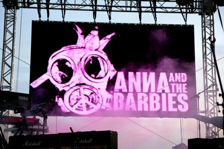 Voluta 1 nap (Fotó: Stipkovits Veronika és Bánhegyi István)