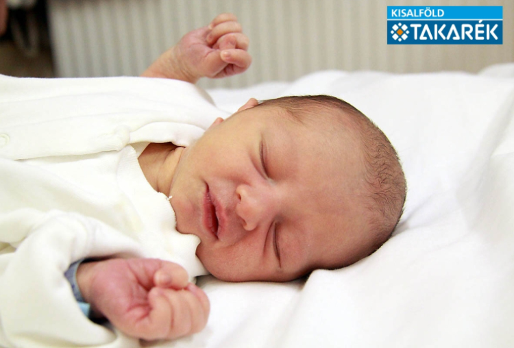 Divós Tamás Nimród, Jobaháza