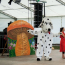 XII. Szigetköz ízei, Vármegye borai Fesztivál 3. nap