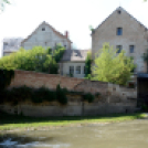 Entente Florale Day Mosonmagyaróvár - Virágzó Város Mosonmagyaróvár (Fotó: Bánhegyi István)