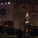 Szigetköz ízei vármegye borai fesztivál /szombat/