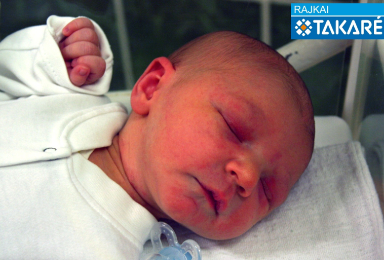 Rigó Nimród, Mosonmagyaróvár