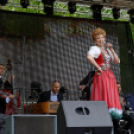 VÁROSI MAJÁLIS 2015 (Fotó: Horváth Attila)