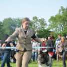 CAC kutyakiállítás (Fotó: Nagy Mária)