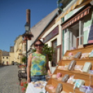 Virágzó Város Mosonmagyaróvár 1. nap KULT-UTCA (Fotó: Bánhegyi István)