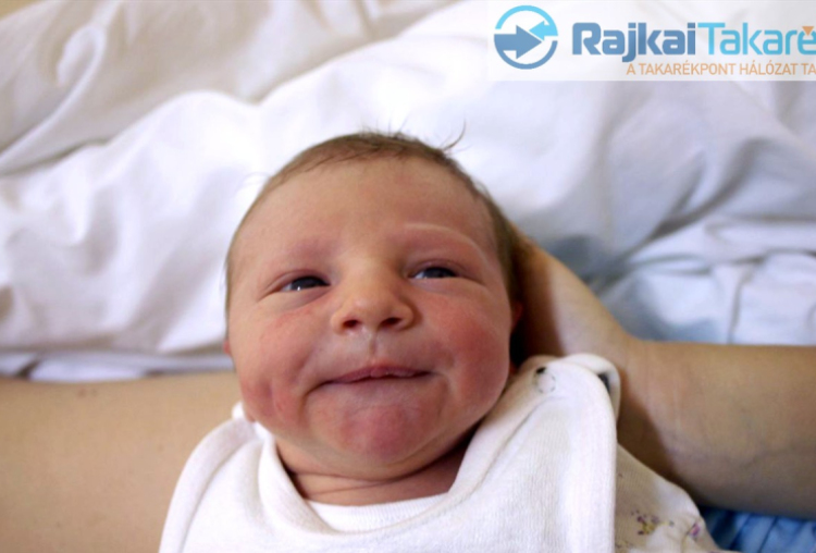 Tamási István Levente, Mosonmagyaróvár