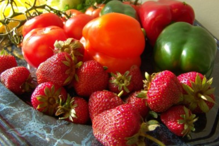 Egészségnap az Ipartelepen