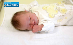 Horváth Hanna, Fertőendréd