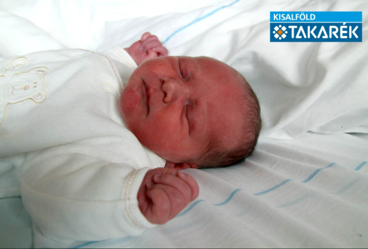 Nagy Rudolf, Mosonmagyaróvár