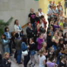 Nyárcsalogató (Fotó: Nagy Mária)