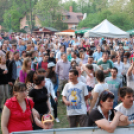 Majális a Wittmann Antal parkban / délután - este /