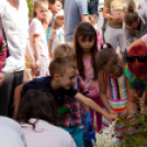 Apró Kezek, Csodakertek
