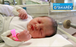 Simon Sára, Lébény