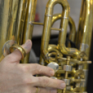 XVI. Mofém Zenészbál