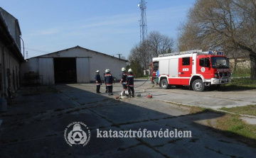 Gyakorlat egy tápkeverő üzemben 