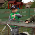 A Pillangó Óvoda és Mini Bölcsöde közös húsvétolása a Mosonmagyaróvári Mentőszolgálat gyermekeivel