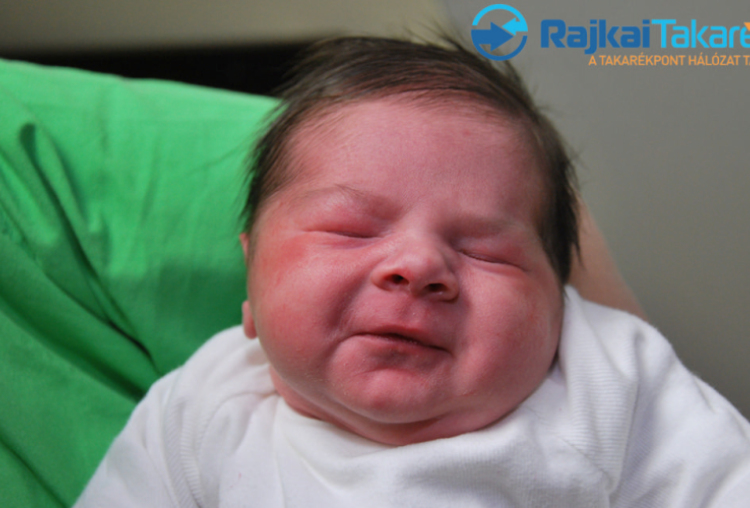 Riskó Ádám István, 3860 gr. Mosonszentmik