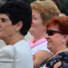 Lajta hídi séta 2015 (fotó: Patács Judit)