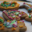 IX. Szigetköz ízei, Vármegyék borai Fesztivál (fotó: Stipkovits Veronika)