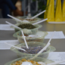 Anya lánya nap a Futurában (Fotó: Nagy Mária)