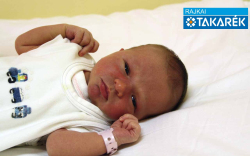 Bertalan Dorka, Mosonmagyaróvár