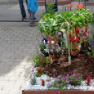 Apró kezek, csodakertek kertépítő verseny (Fotó: Horváth Attila)