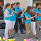 Belvárosi virágút (Fotó: Nagy Mária)