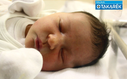 Kovács Maja, Mosonmagyaróvár