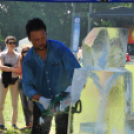 Friss Fesztivál - szombat délelőtt (Fotó: Nagy Mária)