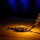 Jótékonysági műsor - Fehér és Máltai Szeretetszolgálat az Éltes iskola javára (Fotó: Horváth Attila)