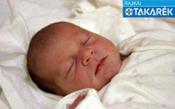 Bakonyi Kristóf Ferenc, Darnózseli