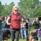 CAC kutyakiállítás (Fotó: Nagy Mária)