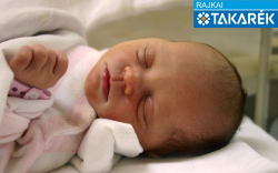 Ronts Zsóka, Szilsárkány